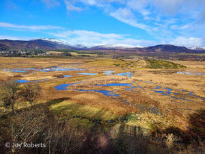 Lakes Mountains Insh Marshes