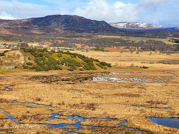 Lakes Mountains Insh Marshes