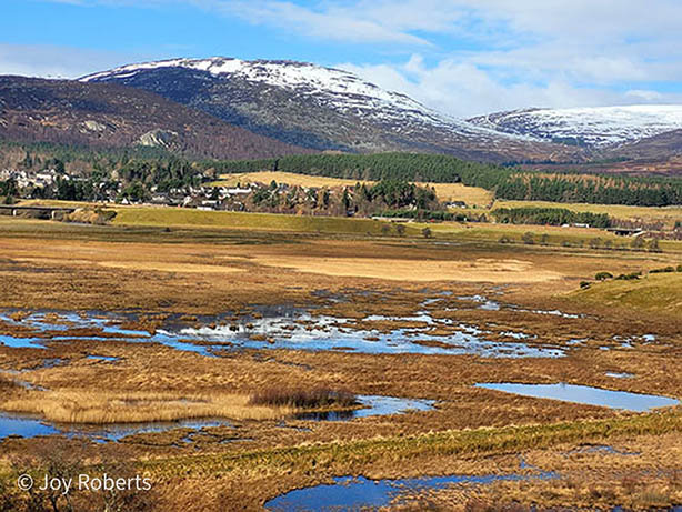 Lakes Mountains Insh Marshes